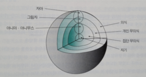 분석심리이론