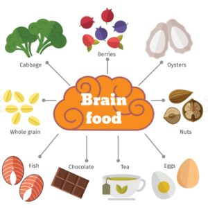 brain food-뇌 기능 향상